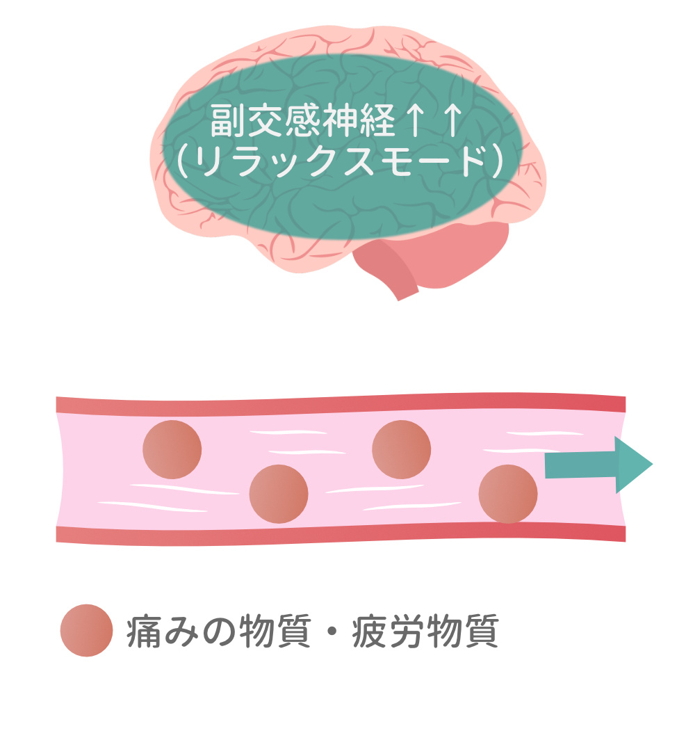 脳がリラックスモードになり痛みや疲労の物質が血流で運び去られる図解